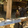 preview image10 fattoria didattica